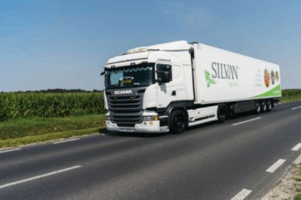 transport portugalia polska